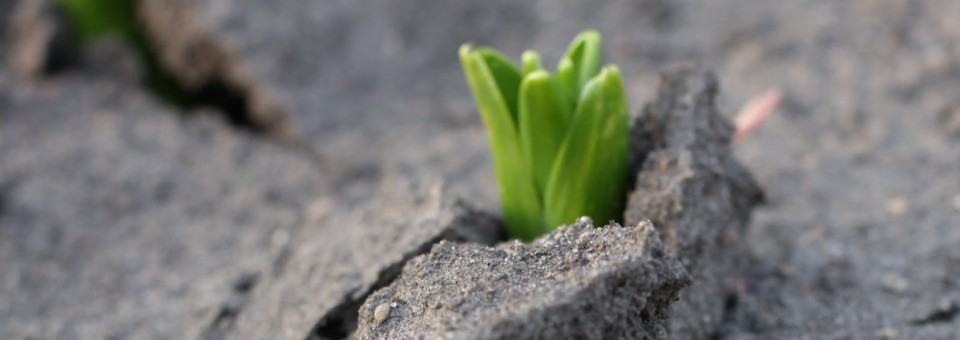 I passi del nostro cammino... 