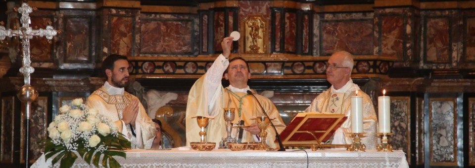 Ordinazione don Dario RuÃ 
