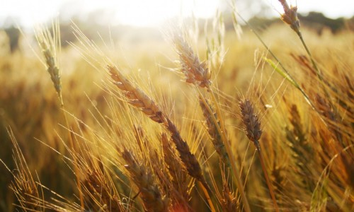 Esercizi Spirituali 2014 - Sestri Levante