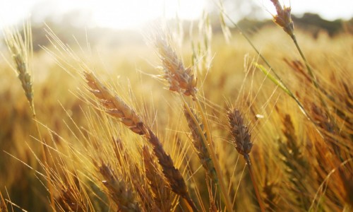 Esercizi Spirituali 2013 - Sestri Levante