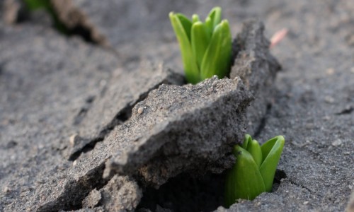 I passi del nostro cammino... 