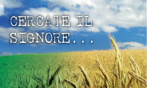 Nelle piccole cose...