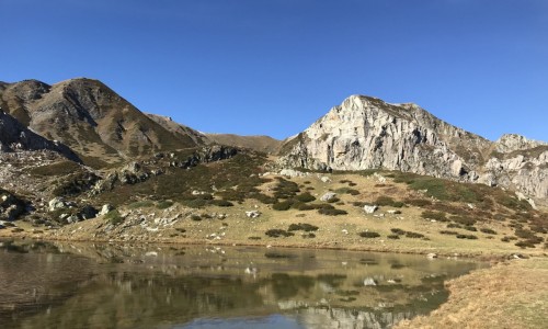 Momenti comunitari 2020-2021