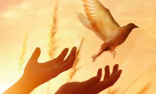 Giornata del Seminario 2023